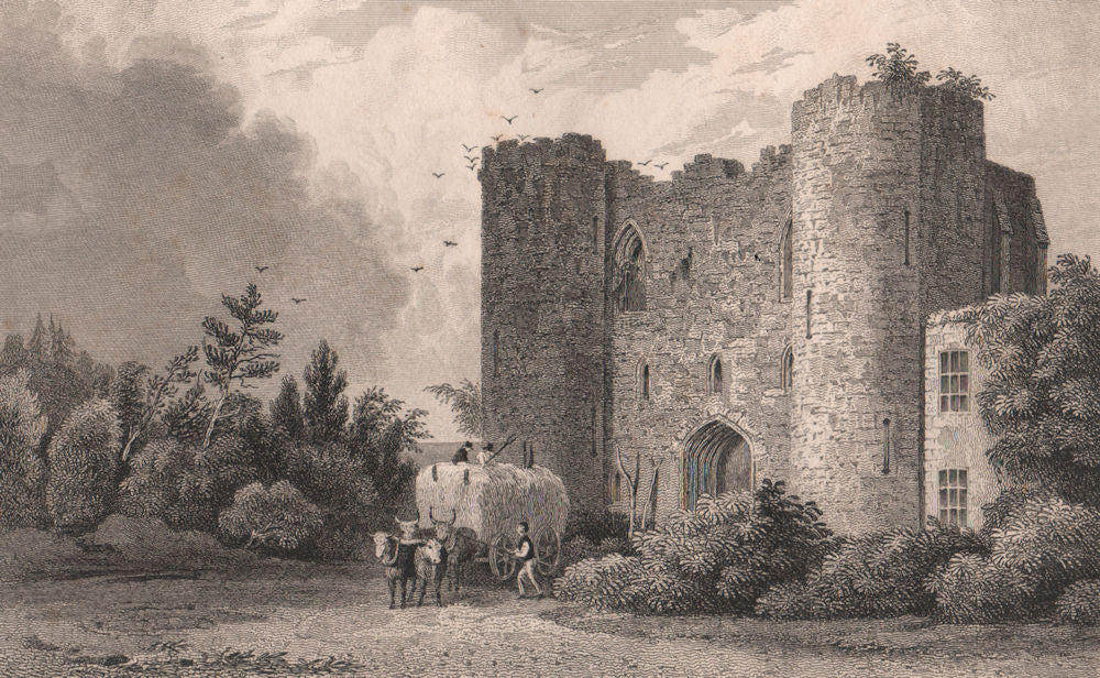 Tonbridge Castle. Kent. BAYNES 1829 old antique vintage print picture